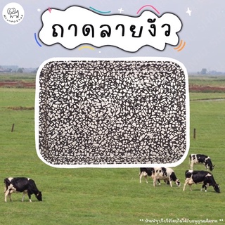 🐄ไม่ใช่ถาดคาเฟ่ ใช้ตีหัวใครไม่ได้ ตึกโป๊ะ!🐄 ถาดลายวัวร์คุล IKEA VÅRKUL สินค้า Coolๆ ที่ต้องมีแบบงงๆ