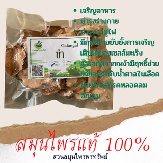 ข่าอบแห้ง ขนาด 50/100 กรัม ช่วยบำรุงร่างกาย เจริญอาหาร พร้อมส่ง