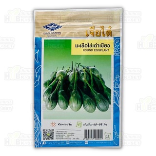 🌱 เจียไต๋ 🇹🇭 มะเขือไข่เต่าเขียว ขนาดบรรจุประมาณ 200 เมล็ด อายุเก็บเกี่ยว 60-85 วัน