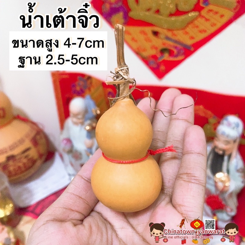 น้ำเต้าแท้ ขนาดจิ๋ว 2-2.5นิ้ว น้ำเต้าดูดทรัพย์ น้ำเต้าไม้ ค้าขายร่ำรวย ดูดเงินดูดทอง เสริมสิริมงคล วางศาลเจ้า กิมตุ้ง