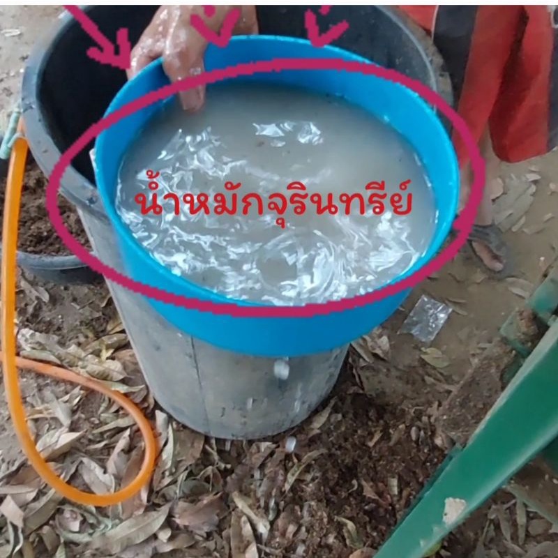 มูลไส้เดือนแท้100% ( หมักแบบPrecompost ) ผสมน้ำหมักจุลินทรีย์ ไม่ผสมดิน 850 กรัม - รูปที่ 4