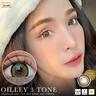 ✨oilley 3 tone brown chestnut (Wink lens) ขนาดตาโต Big ☀️กรองแสง uv (บิ๊กอาย คอนแทคเลนส์ Bigeye)