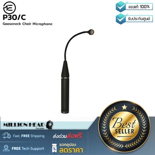 Earthworks Audio : P30/C by Millionhead (ไมโครโฟน Condenser สำหรับร้องประสานเสียงและเครื่องดนตรีแบบกลุ่ม)