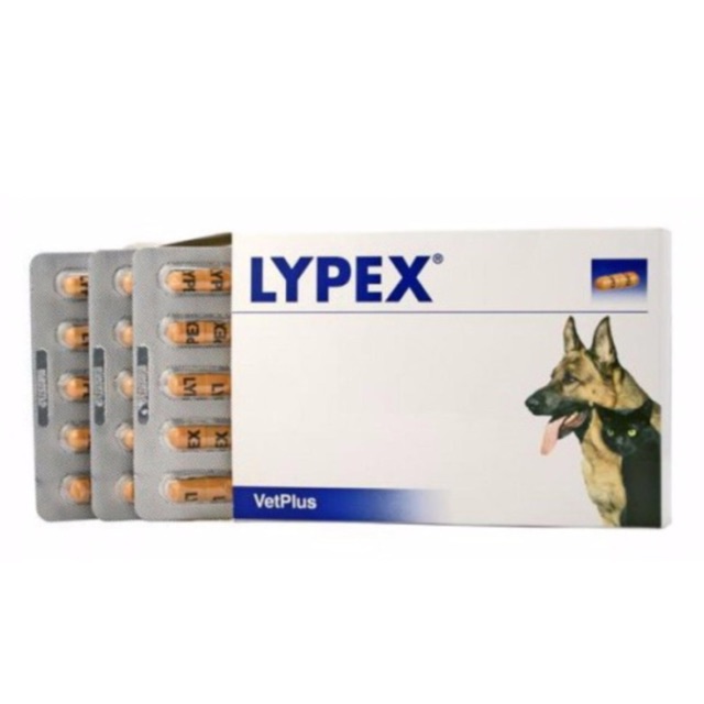 Lypex ไลเป็กซ์ สำหรับสุนัข-แมว Exp: 07/2020