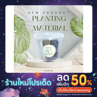 ชุดวัสดุปลูกสำหรับอนุบาลไม้เนื้อเยื่อ