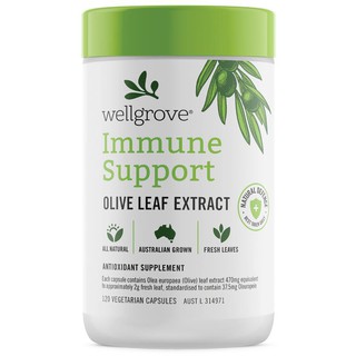 Wellgrove สูตร Immune Support Olive Leaf Extract