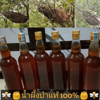 น้ำผึ้งป่าแท้ 100% ขนาด750มล.(1ขวด)