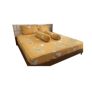 Bedsheet.BKK ผ้าปูที่นอน มีลาย มี3.5ฟุต/5ฟุต/6ฟุต รหัส6060 เนื้อผ้านิ่ม สบายๆ ไม่ร้อน สีไม่ตก รหัส666 No.12.