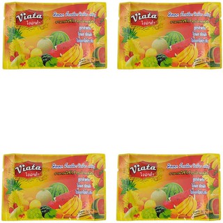 Viata Plant Food ไวอาต้า อาหารพืชสำเร็จรูปครบสูตร 30กรัม (4ซอง)