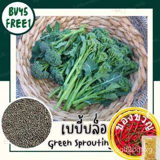 พร้อมส่ง❗ เมล็ดพันธุ์ เบบี้บล็อคโคลี่ Green Sprouting Broccoli เมล็ดพันธุ์แท้100% นำเข้าจากต่างประเทศ ปลูกผัก สวนครัวed