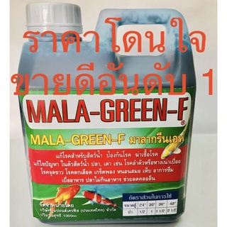 MALA-GREEN-F ใช้สำหรับสัตว์น้ำป้องกันโรคฆ่าเชื้อโรคกับปลาที่ป่วยกับปลาที่นำมาปล่อยใหม่รวมกันในปลาสวยงาม