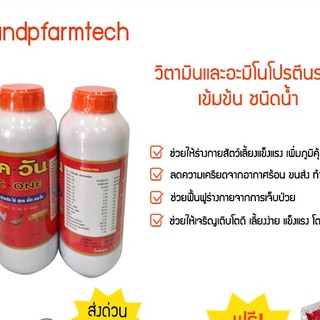 12 ขวด แพควัน # วิตามิน และกรดอะมิโนโปรตีนรวม ชนิดเข้มข้น สำหรับสัตว์เลี้ยง # มีเก็บเงินปลายทาง