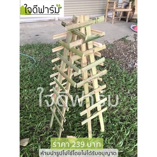 ซุ้มไม้เลื้อย , ค้างไม้เลื้อย ,ค้างไม้ไผ่ ขนาด100x25ซม. 1ชุดมี4ชิ้นราคา239บาท