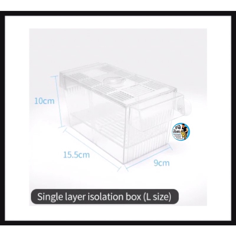 กล่องแยกปลา กล่องฟักไข่ปลา กล่องพักปลา Up Aqua Breeder Box มีสองไซต์ ไซต์S และไซต์L