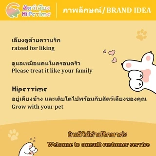 petsecret ชิ้นส่วนประกอบคอก DIY คอกสัตว์เลี้ยง อุปกรณ์เสริมสำหรับคอกสัตว์เลี้ยง DIY