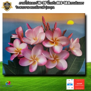 ภาพโปสเตอร์วิว ดอกลีลาวดีสีชมพูรุ่งอรุณ ขนาด16×20"นิ้ว