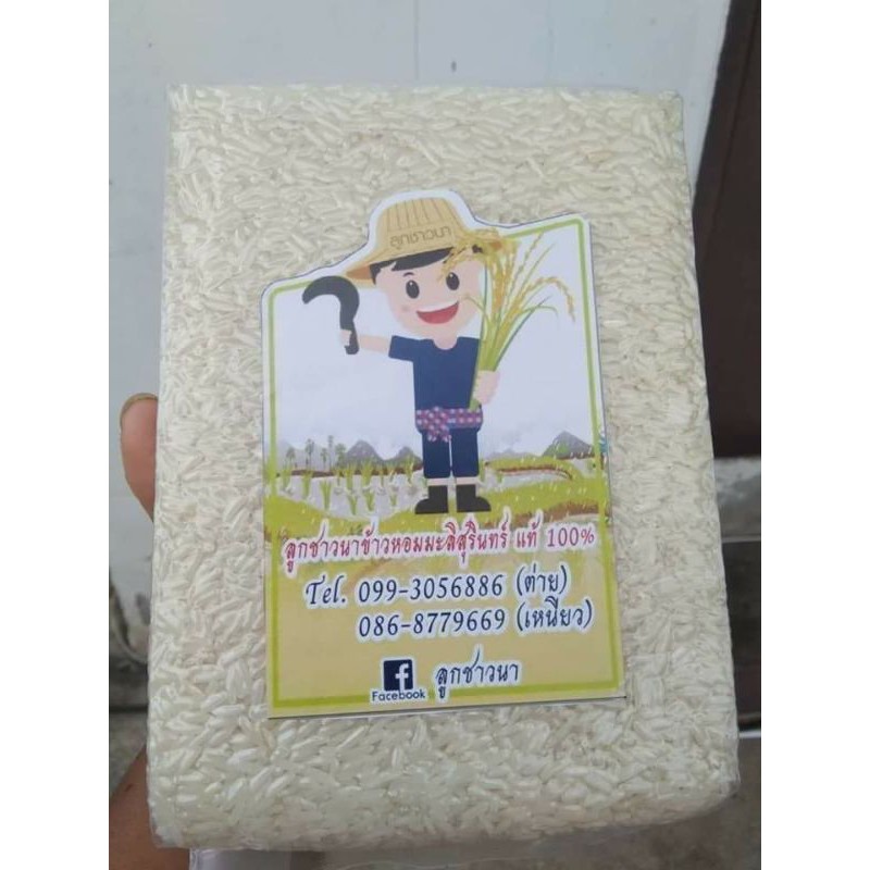 ข้าวขาวกข43น้ำตาลน้อย