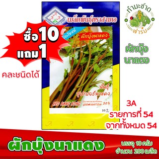 (ซื้อ10แถม1) เมล็ดพันธุ์ ผักบุ้งนาแดง red convovulus ประมาณ 200เมล็ด 3A สามเอ ผักสวนครัว เมล็ดพันธุ์พืช เมล็ดผัก เม็ดผัก