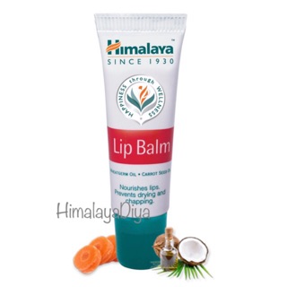 แท้💯 Himalaya Herbals Lip Balm 10g