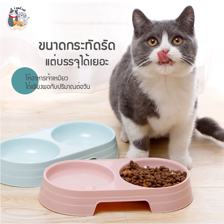 I&CAT ชามสัตว์เลี้ยงคู่ชาม ชามขนาดเล็ก สีพาสเทล น่ารักๆ