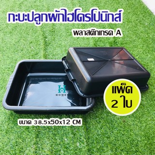 กระบะปลูกผักไฮโดรโปนิกส์ (แพ็ค 2 ชิ้น)  กระบะพลาสติกสีดำ กระบะเพาะเมล็ด กระบะทรายแมว กะบะดำ กระบะใส่ของ ใส่น้ำได้