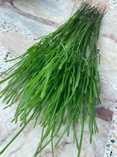 ก้านพลาสติก ก้านกุหลาบ 100 ก้าน/แพ็ค