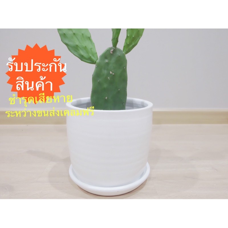 กระถางดินเผา กระถางต้นไม้ พร้อมจานรอง 10 นิ้ว คุณภาพดี