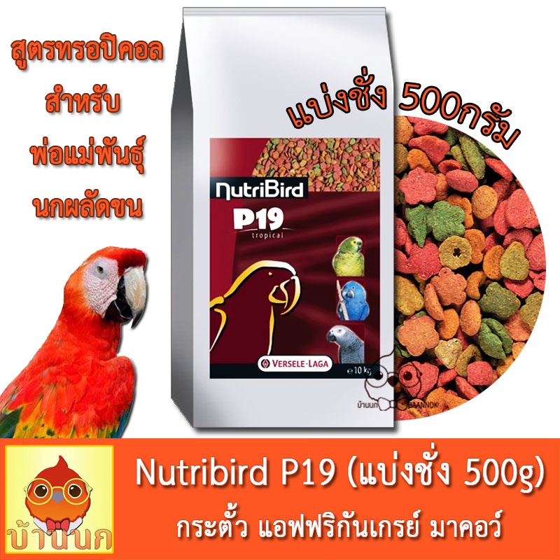 Versele-Laga Nutribird P19 Tropical แบ่งชั่ง 500g อาหารนก นกแก้ว มาคอว์ กระตั้ว สำหรับ พ่อแม่พันธุ์ 