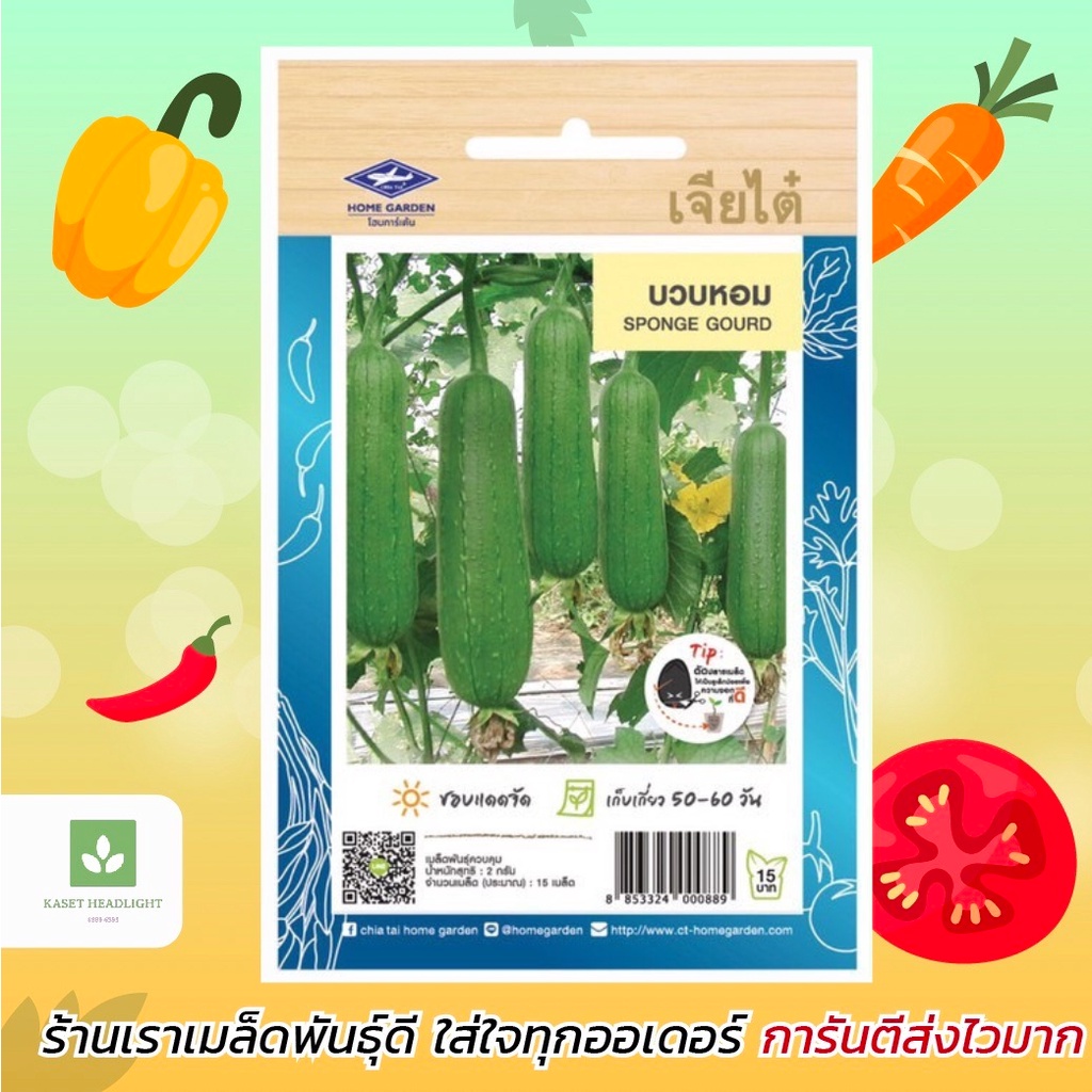 บวบหอมลูกยาว เจียไต๋ เมล็ดพันธุ์บวบหอมยาว