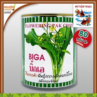 เมล็ดพันธุ์ ผักกาดกวางตุ้ง กวางตุ้งดอกต้นขาว บิ๊กเอ Big A (80 กรัม) เมล็ดกวางตุ้งดอก เมล็ดพันธุ์ผักสวนครัว ตราปลาทอง