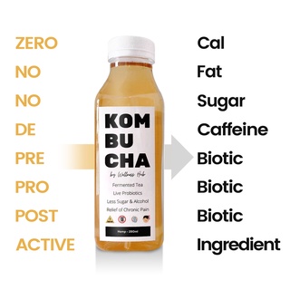 [ Premium Kombucha ] คอมบูชา คอมบูชะ คอมบูฉะ คอมบุชะ กอมบูชา ชาหมัก น้ำชาหมัก ใบชาหมัก คีโค ออแกนิค ลดไขมัน ชา พุง Keto