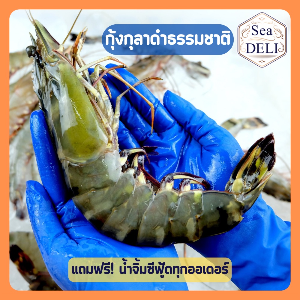 [Sea DELI] กุ้งกุลาดำธรรมชาติ 400 กรัม ต่อ บล็อก