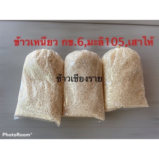 ข้าวเหนียวกข.6 ข้าวมะลิ105 ข้าวเปลือกกข.6 จากเชียงราย ข้าวชาวนา