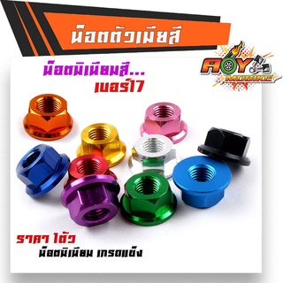 น็อตมิเนียมสี น็อตตัวเมีย เบอร์17 M12 (ราคา 1 ตัว)  งานแข็งแรง ใช้งานได้ดี มีให้เลือก 9สี