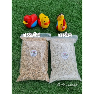 Perlite (เพอร์ไลท์) วัสดุปลูก ช่วยทำให้ดินโปร่ง