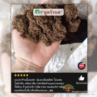 ขี้วัวนมบดละเอียด (900 กรัม) ปุ๋ยคอก ขี้วัวนม (กรุณาสั่งสินค้าไม่เกิน 10 ถุงต่อ 1 ออเดอร์นะคะ)
