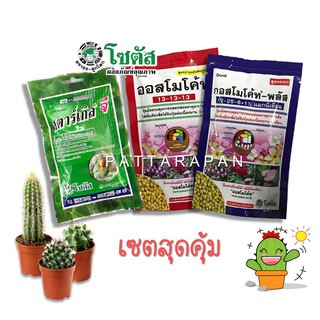 (ชุดสุดคุ้ม) ปุ๋ยออสโมโค้ท บำรุงต้น  สตาร์เกิลจี รองหลุดป้องกันแมลง ออสโมโค้ทพลัส บำรุงดอก (ซองละ100กรัม)