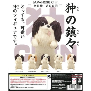 (Gachapon) เจแปนนิส ชิน - Japanese Chin 狆の鎮々