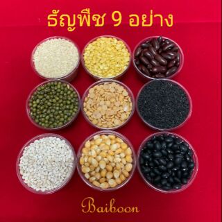 ธัญพืช ข้าวสารสี ธัญพืช9อย่าง ข้าวสาร9สี ของถวายพระพิฆเณศ ของบูชาองค์เทพ แก้บน เสาเอกเสาโท แม่สาลิกา