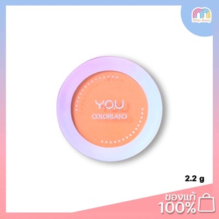 Y.O.U-Colorland Focus On Me Blush