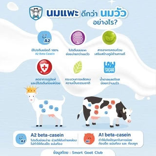 นมแพะ Smart Goat 6 กล่อง - นมเเพะ ขับถ่ายดี สารอาหารสูง สูตร มัลติวิตามิน & Omega