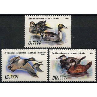 W118 แสตมป์สหภาพโซเวียตยังไม่ได้ใช้ ชุด Ducks นกเป็ดน้ำ ปี 1…