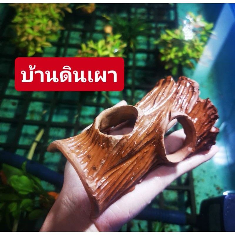 ดิน เผาสำหรับตกแต่งตู้ปลา บ้านปลา บ้านกุ้ง ครึ่งวงกลม หลังคาดินเผา อุปกรณ์ตกแต่งตู้ปลา ตู้ปลา พร้อมส่ง เป็นบ้านให้ปลา
