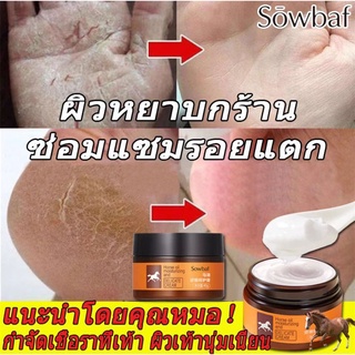 สินค้าฮิต ต้องลองใช้ JLISEน้ำมันม้า ครีมทาเท้า ประกอบด้วยสารบำรุงผิว ส้นเท้าแตก น้ำมันม้า ครีมบำรุงเท้า ครีมทาเท้าแตก