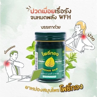 พร้อมส่ง ยาหม่องโพธิ์ทอง ของแท้ บรรเทาอาการแมลงกัดต่อย โนโวไลฟ์ 50กรัม ยาหม่องสมุนไพร Green Herb(กรีนเฮิร์บ)