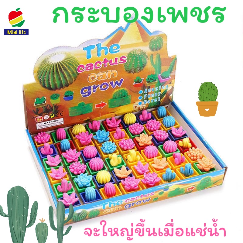 【สนุกสุด ๆ】 แคคตัสแช่น้ำ โตได้ เรียนรู้วิทยาศาสตร์ การจำลอง ดูเหมือนจริง ของเล่นวิทยาศาสตร์ 1ชิ้น