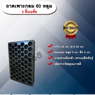 ถาดเพาะกลม 60 หลุม (5ชิ้น/แพ็ค) ถาดเพาะต้นกล้า ถาดเพาะเมล็ดพันธุ์ ขนาด 60 หลุม แบบกลม