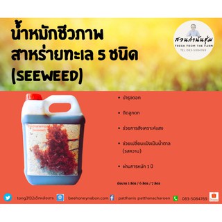 น้ำหมักชีวภาพสาหร่ายทะเล 5 ชนิด(Seaweed) ขนาด 3.5 ลิตร