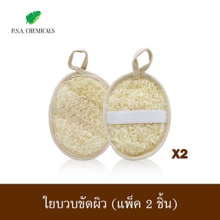 (แพ็ค 2 ชิ้น) ใยบวบขัดผิว ใยบวบขัดตัว ใยบวบสวมมือ