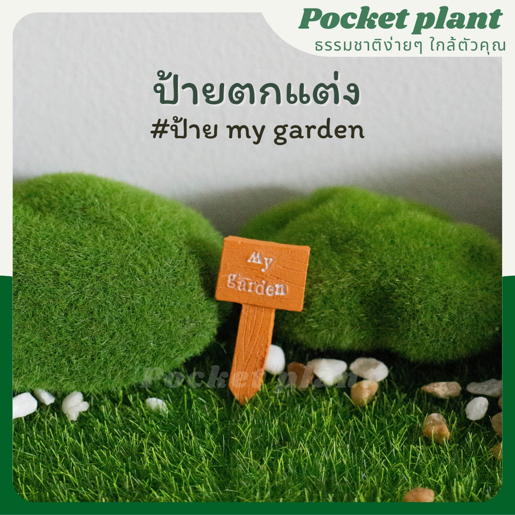 มุมมอง 2